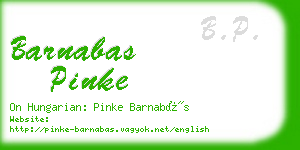 barnabas pinke business card